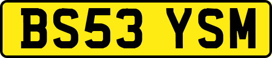 BS53YSM