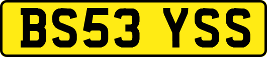 BS53YSS