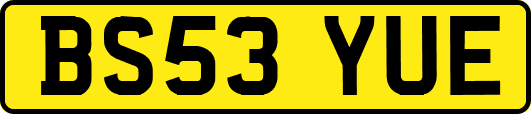 BS53YUE
