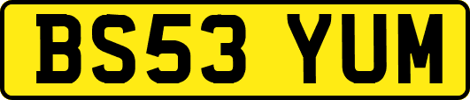 BS53YUM