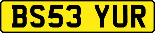 BS53YUR