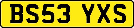BS53YXS