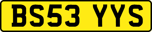 BS53YYS