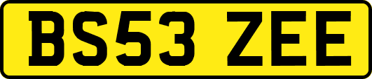 BS53ZEE