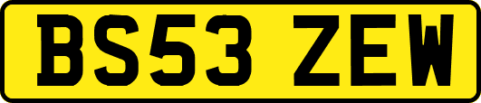 BS53ZEW