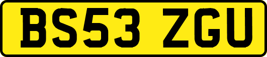 BS53ZGU