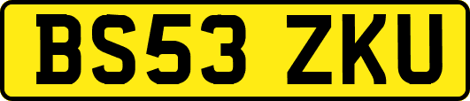BS53ZKU