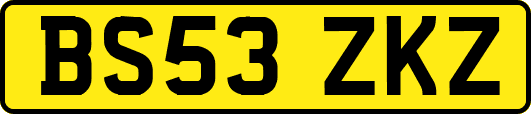 BS53ZKZ