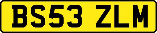 BS53ZLM