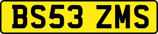 BS53ZMS