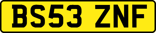 BS53ZNF