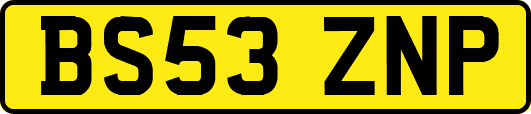 BS53ZNP