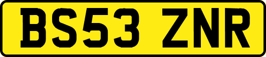BS53ZNR