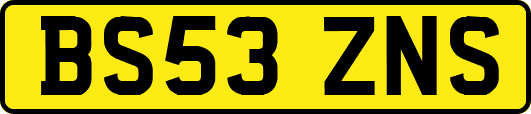 BS53ZNS