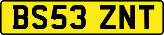 BS53ZNT