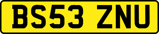 BS53ZNU