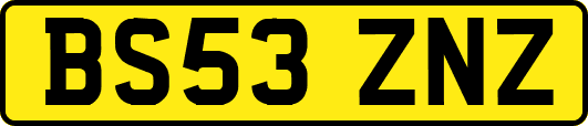 BS53ZNZ