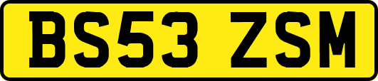 BS53ZSM