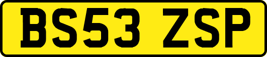 BS53ZSP