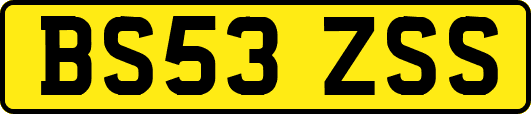 BS53ZSS