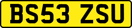BS53ZSU