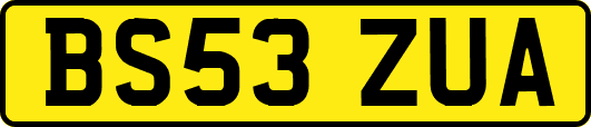 BS53ZUA