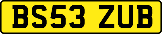 BS53ZUB