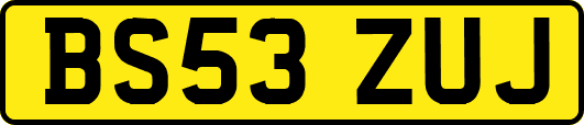 BS53ZUJ