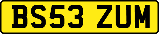 BS53ZUM