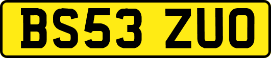 BS53ZUO