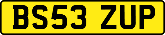 BS53ZUP