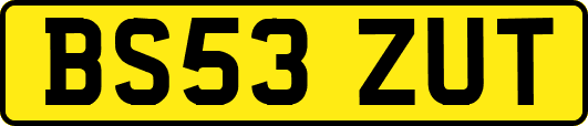 BS53ZUT
