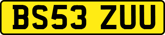 BS53ZUU
