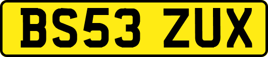 BS53ZUX