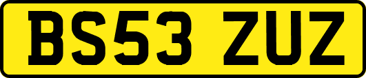 BS53ZUZ
