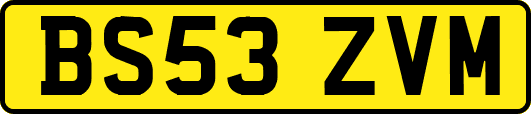 BS53ZVM