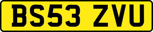 BS53ZVU