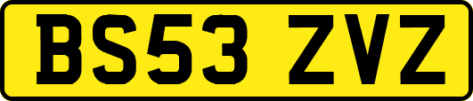 BS53ZVZ