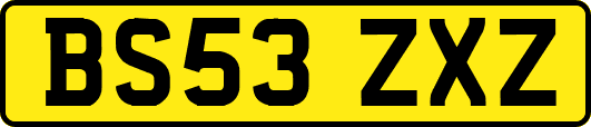 BS53ZXZ