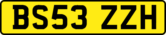 BS53ZZH