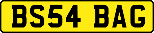 BS54BAG