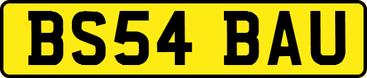 BS54BAU