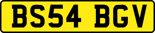 BS54BGV
