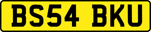 BS54BKU