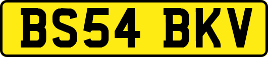 BS54BKV