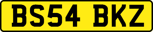 BS54BKZ
