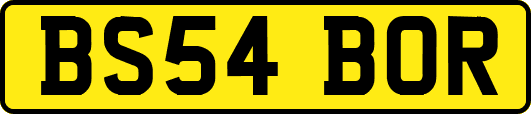 BS54BOR