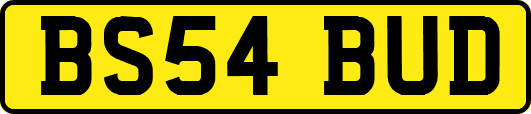 BS54BUD