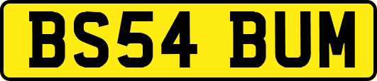 BS54BUM