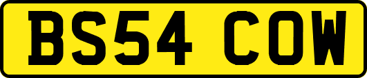 BS54COW